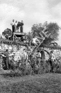 1948- La Belle Meunière 