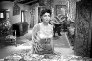 Gina Lollobrigida, 1952