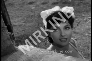 1952, Gina Lollobrigida